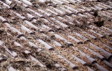 Beaulieu Wood roof cleaning companies