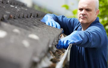 cleaning and inspecting Beaulieu Wood roofs