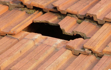 roof repair Beaulieu Wood, Dorset