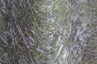 Beaulieu Wood fibreglass roof work